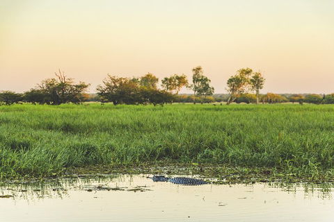 Yellow Water Cruise - Kakadu - Restaurant Guide 3