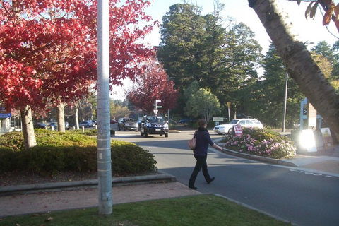PRIVATE All-Day Blue Mountains Tour With Professional Guide For Up To 4 People - Restaurant Guide 1