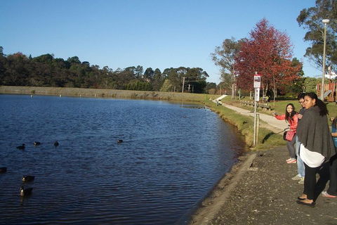 PRIVATE All-Day Blue Mountains Tour With Professional Guide For Up To 4 People - Restaurant Guide 2
