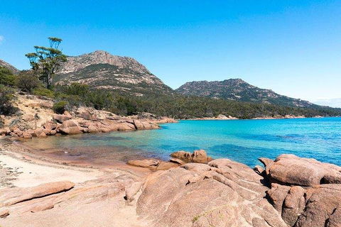 Wineglass Bay & Freycinet NP Full Day Tour From Hobart Via Richmond Village - Restaurant Guide 5