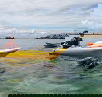 Seal Island and Penguin Island or Point Peron Sea Kayak Tour - Restaurant Guide