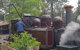 Dandenong Ranges And Rayners Orchard Tour From Melbourne - thumb 1