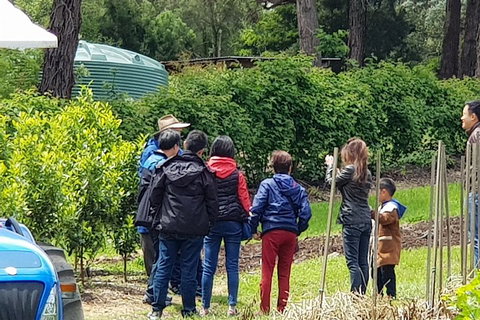 Dandenong Ranges And Rayners Orchard Tour From Melbourne - Restaurant Guide 4