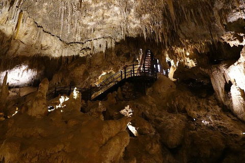 Ngilgi Cave Semi-guided Tour - Restaurant Guide 2