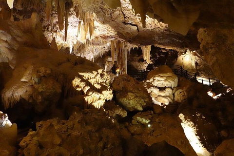 Ngilgi Cave Semi-guided Tour - Restaurant Guide 3