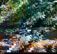 Aquaduck  Your choice of Gold Coast Rainforest Tour - Restaurant Guide