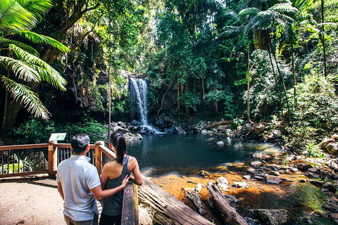 Aquaduck & Your Choice Of Gold Coast Rainforest Tour - Restaurant Guide 0