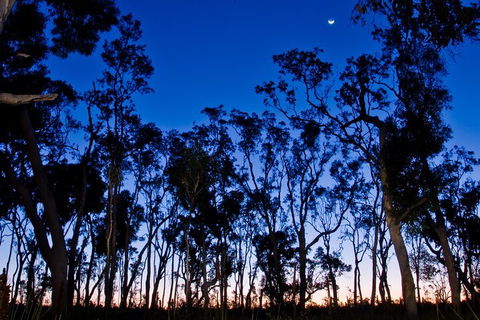 Small-Group Kangaroo Island 4WD Night Tour - Restaurant Guide 2