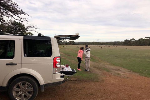 Kangaroo Island 4WD Tour - Flinders Chase - Restaurant Guide 3