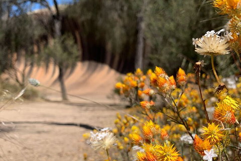 The Big Wave Rock (Private) Day Tour - Restaurant Guide 3