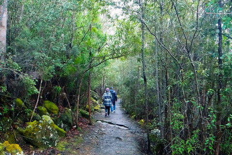 Kunanyi/Mt Wellington Tour & Hobart Hop-On Hop-Off Bus - Restaurant Guide 1