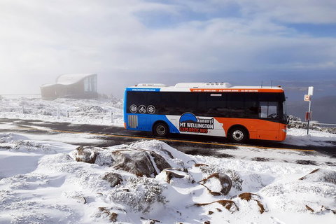 Kunanyi/Mt Wellington Tour & Hobart Hop-On Hop-Off Bus - Restaurant Guide 2