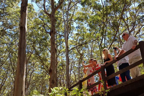 The All About Margaret River Tour: Wine, Coffee, Lunch And Forest - Restaurant Guide 3