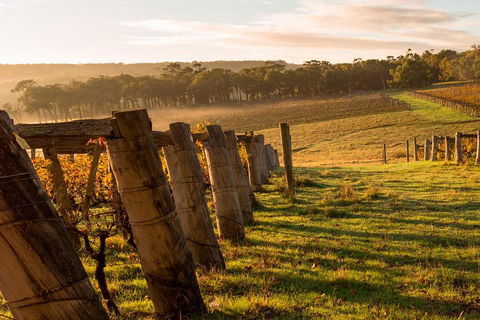 The All About Margaret River Tour: Wine, Coffee, Lunch And Forest - Restaurant Guide 5