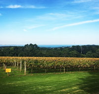 Yarra Valley Private Car Winery Tour And Chocolate.1-7 Passengers One Car Price - Restaurant Guide