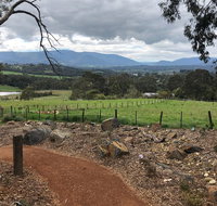Yarra Valley Wine Tour inc lunch with a glass of wine tastings and chocolate - Restaurant Guide