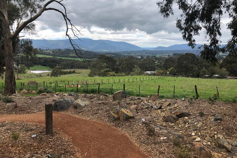 Yarra Valley Wine Tour Inc Lunch With A Glass Of Wine, Tastings And Chocolate - Restaurant Guide 0