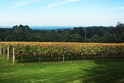 Yarra Valley Wine Tour Inc Lunch With A Glass Of Wine, Tastings And Chocolate - Restaurant Guide 2