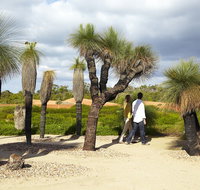 1 Day Exclusively Private Tour Of Phillip Island  The Penguin Parade - Restaurant Guide