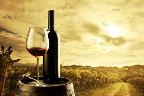Barossa Valley Cellar Doors Luxury Wine Tour - Restaurant Guide 0