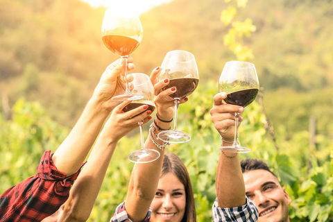 Barossa Valley Cellar Doors Luxury Wine Tour - Restaurant Guide 1