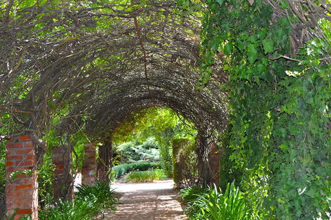Barossa Valley Cellar Doors Luxury Wine Tour - Restaurant Guide 3