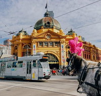 Melbourne. Laneways and Alleyways - Restaurant Guide