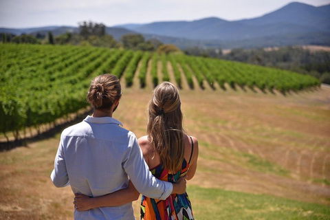 Yarra Valley Wine, Bubbles And Gin Tour! - Restaurant Guide 4