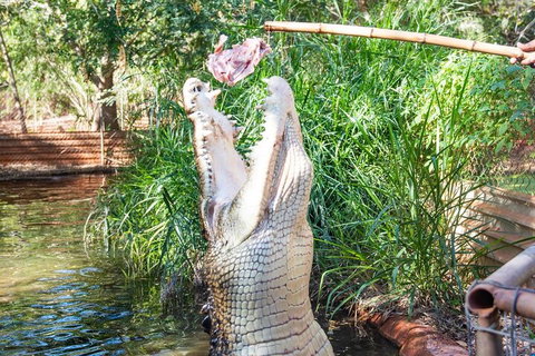 3 In 1 Tour: Matsoâ€™s Brewery, Broome Museum & Malcolm Douglas Crocodile Park - Restaurant Guide 3