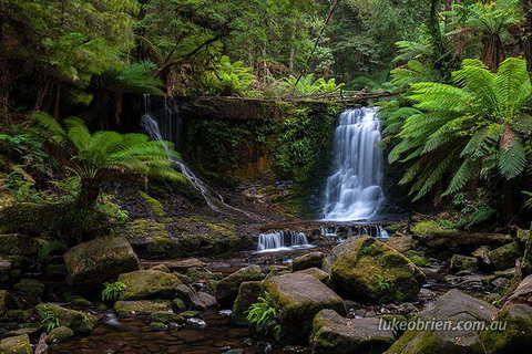 Mt Field And Styx Valley Photography Tour - Restaurant Guide 3
