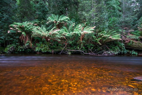 Mt Field And Styx Valley Photography Tour - Restaurant Guide 4