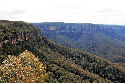 Blue Mountains - Restaurant Guide 3