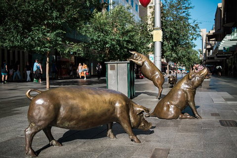 Guided Walking Tour In Adelaide - Restaurant Guide 4