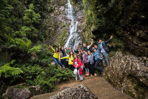 5-Day Lap Of Tasmania Tour From Hobart (flexible Ticket) - Restaurant Guide 0