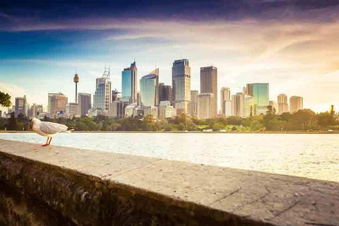 Private Sydney City And Bondi Beach Half Day Tour - Restaurant Guide 2