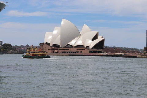 Private Sydney City And Bondi Beach Half Day Tour - Restaurant Guide 5