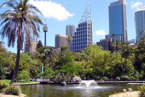 Private Sydney Half Day Tour Including Sydney Opera House And Bondi Beach - Restaurant Guide 4