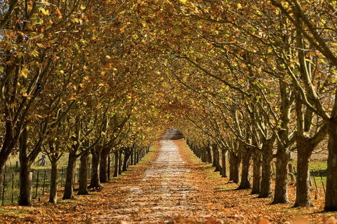 Private Southern Highlands Day Trip From Sydney Including Fitzroy Falls - Restaurant Guide 4