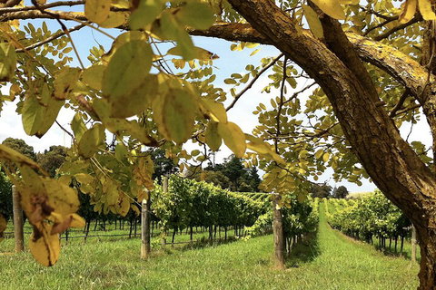 Private Southern Highlands Day Trip From Sydney Including Fitzroy Falls - Restaurant Guide 5