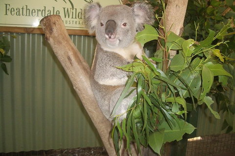 Full-Day Private Blue Mountains Tour With River Cruise - Restaurant Guide 2