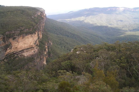 Full-Day Private Blue Mountains Tour With River Cruise - Restaurant Guide 3