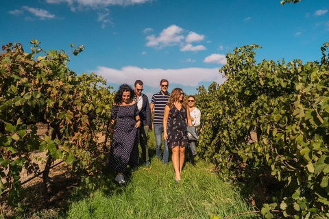 Barossa Valley Private Tour (from 2 To 11 People) - Restaurant Guide 0