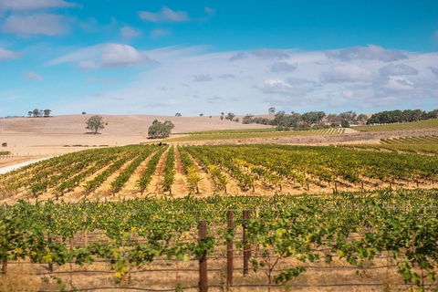 Barossa Valley Private Tour (from 2 To 11 People) - Restaurant Guide 2