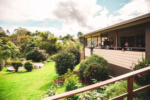 Full-day Springbrook National Park Tour From The Gold Coast - Restaurant Guide 2