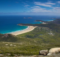 Wilson's Promontory  Phillip Island - 'Prom  Penguins' Tour - Restaurant Guide