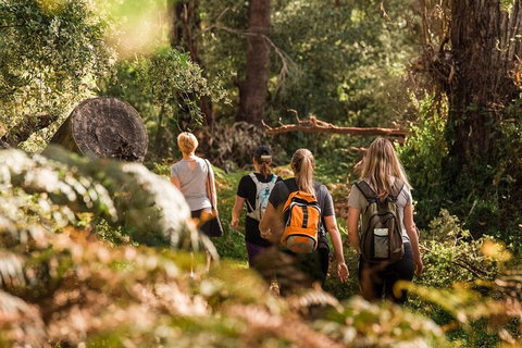 Cabaret Cave Yoga & Mindful Hike - Restaurant Guide 2
