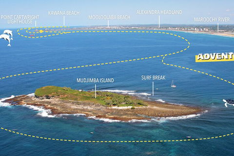 1.5HR Mudjimba Island Wildlife Safari - Restaurant Guide 1