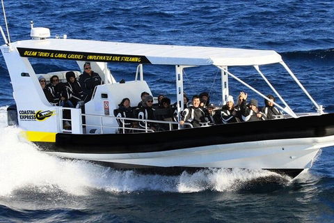1.5HR Mudjimba Island Wildlife Safari - Restaurant Guide 2