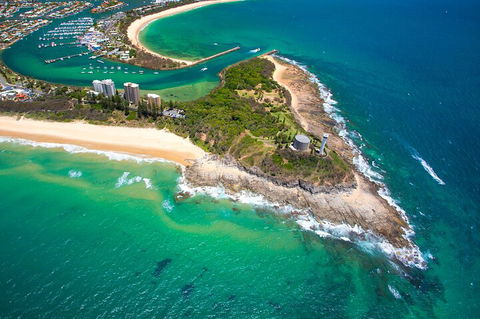 1.5HR Mudjimba Island Wildlife Safari - Restaurant Guide 5
