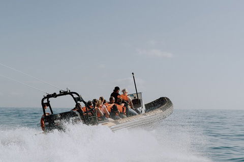 Adventure Rafting - Restaurant Guide 0